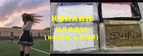 спайс Богданович