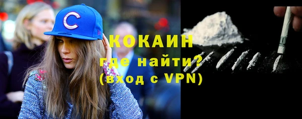 спайс Богданович