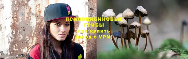 спайс Богданович