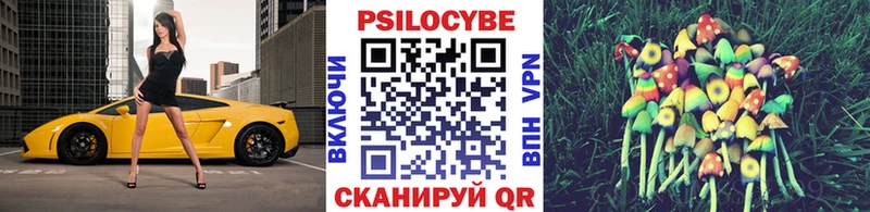 Псилоцибиновые грибы MAGIC MUSHROOMS  где купить наркоту  Дмитров 